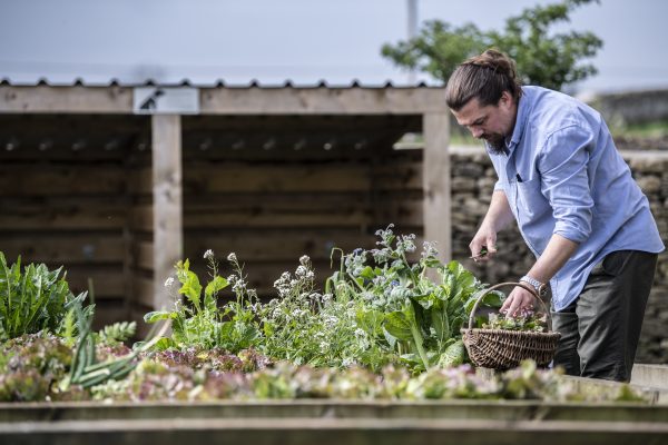 WALLED GARDEN